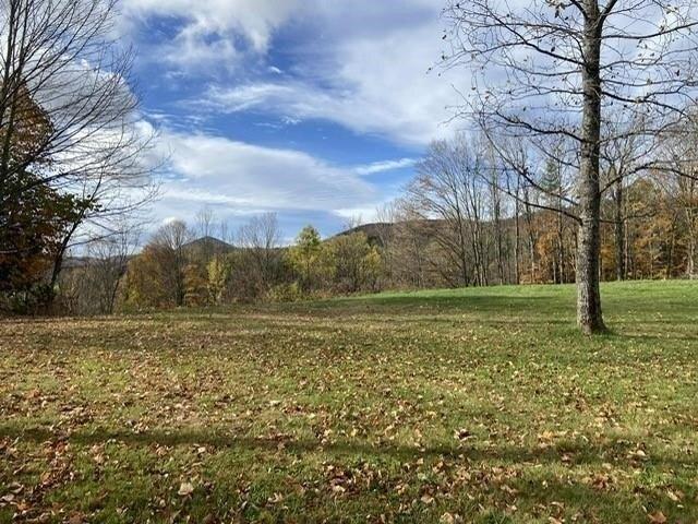 Land for sale in Lowell, Orleans County
