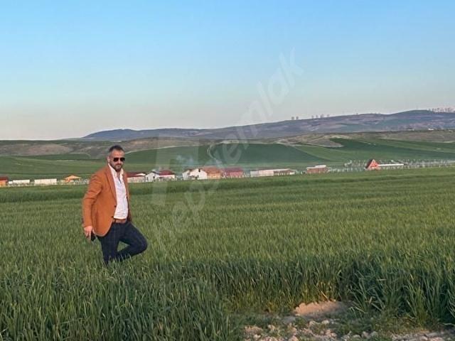 Ayaş, Ankara içerisinde satılık Arsa