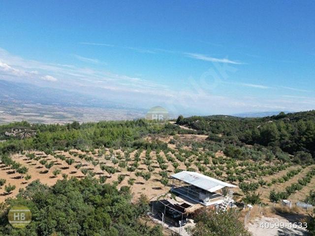 Dereköy, Efeler içerisinde satılık mülk