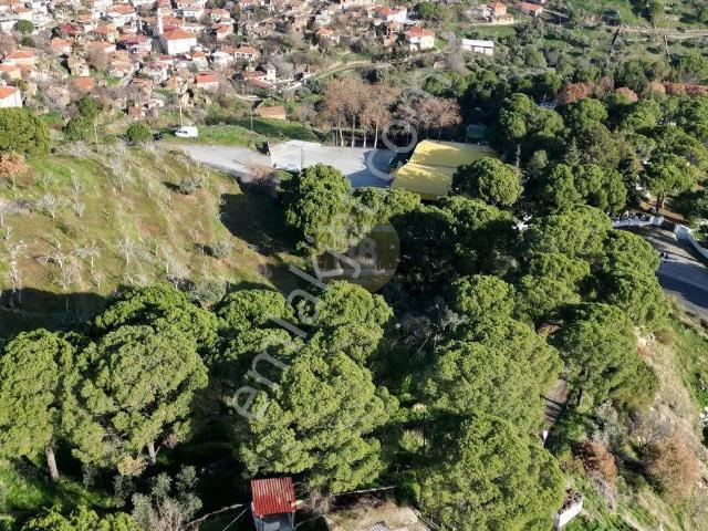 Koçarli, Aydin içerisinde satılık Villa