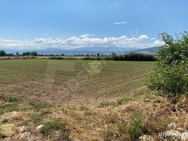 Çiftlikköy, Köşk içerisinde satılık Arsa
