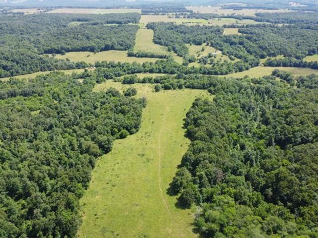 Farm for sale in Sparta, Christian County