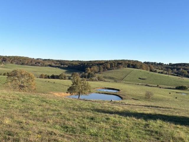 Farm for sale in Drury, Missouri