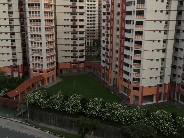 Apartment for rent in 07 City, Beach Road