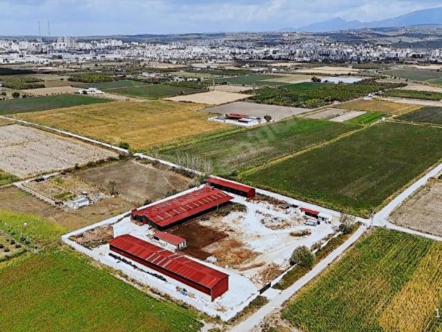 Torbali, İzmir içerisinde satılık Fabrika