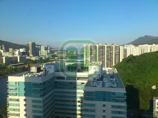 提供 出租 的 公寓