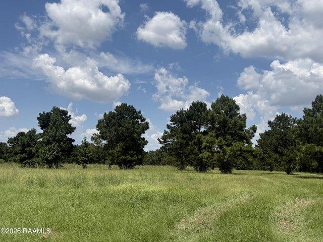 Land for sale in Evangeline, Louisiana
