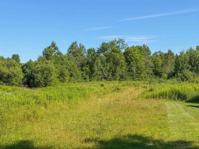 Land for sale in Cavendish, Vermont