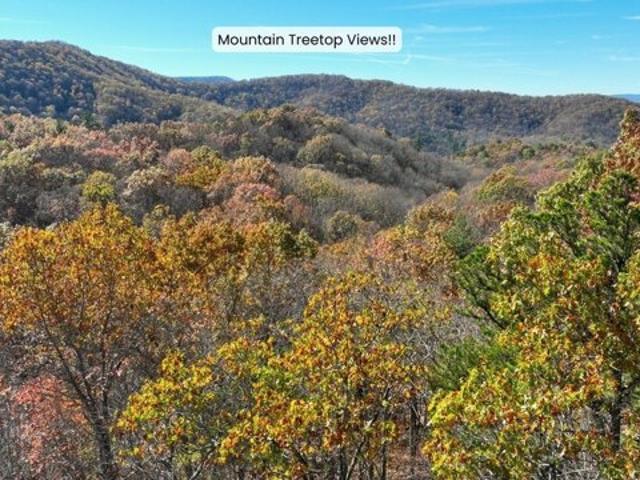 Land for sale in Morganton