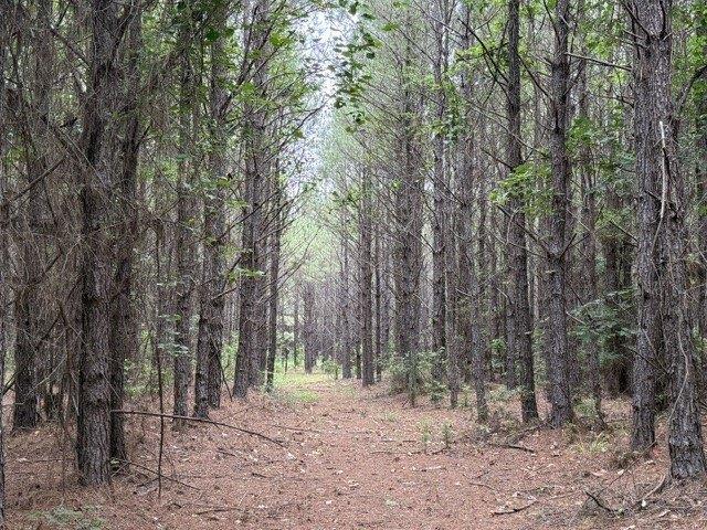 Land for sale in Shongaloo, Louisiana