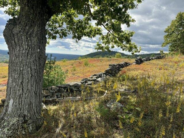 Land for sale in Hope, Maine