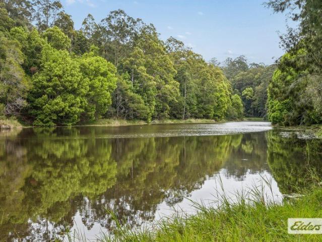 Land for sale in Limpinwood, Tyalgum