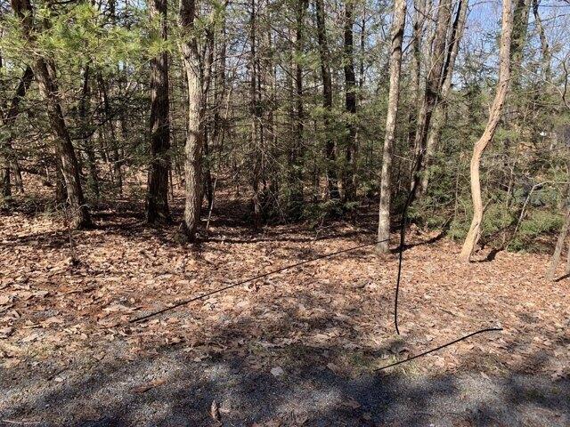 Land for sale in Bartonsville Land for sale in Bartonsville