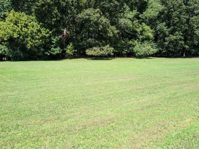 Land for sale in Blairsville, Georgia