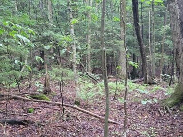Land for sale in Readsboro, Bennington County