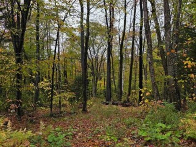 Land for sale in Bennington, Vermont