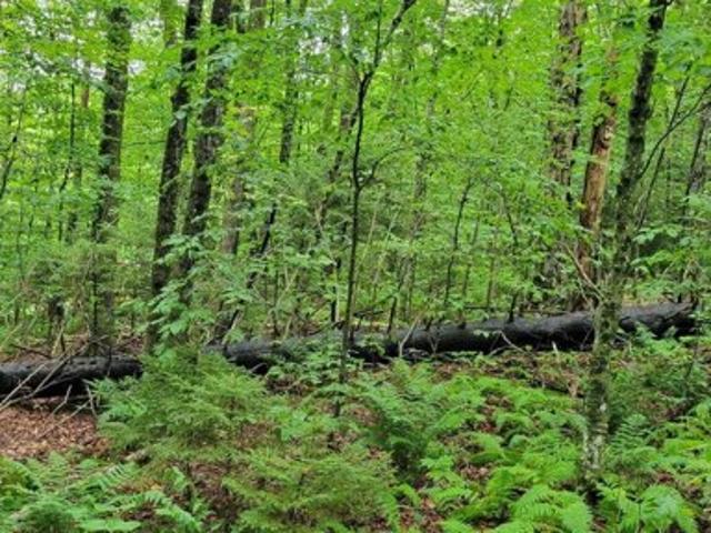 Land for sale in Readsboro, Bennington County