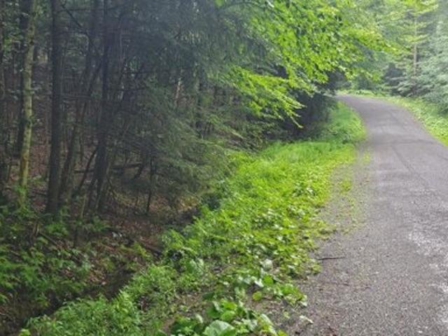 Land for sale in Readsboro, Bennington County