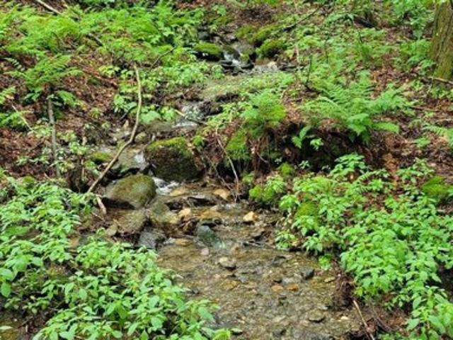 Land for sale in Readsboro, Bennington County