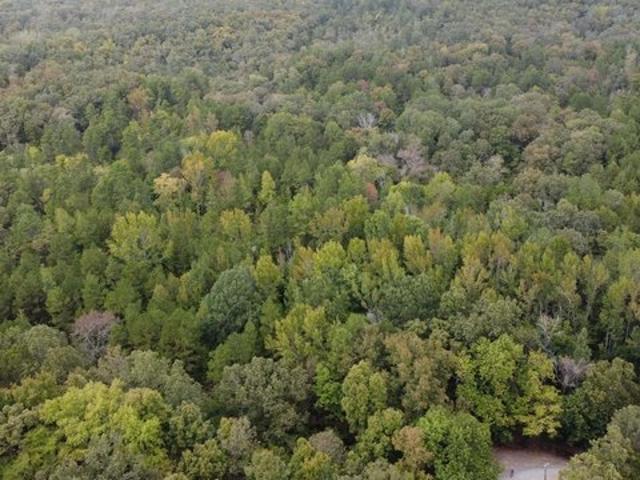 Land for sale in Ark