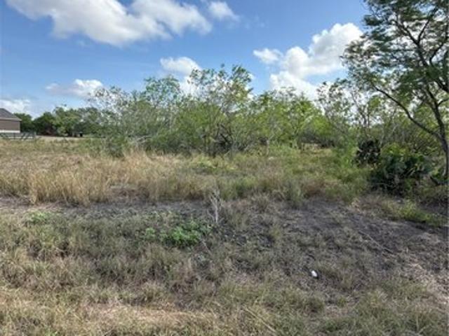 Land for sale in Robstown, Texas