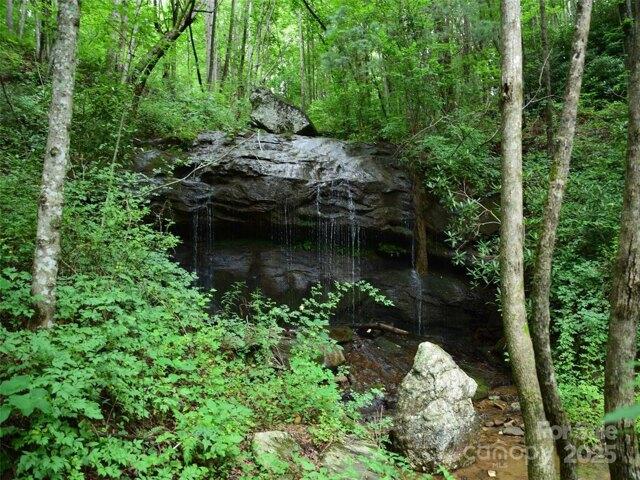 Land for sale in Saluda