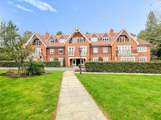 Apartment for rent in Sunninghill and Ascot