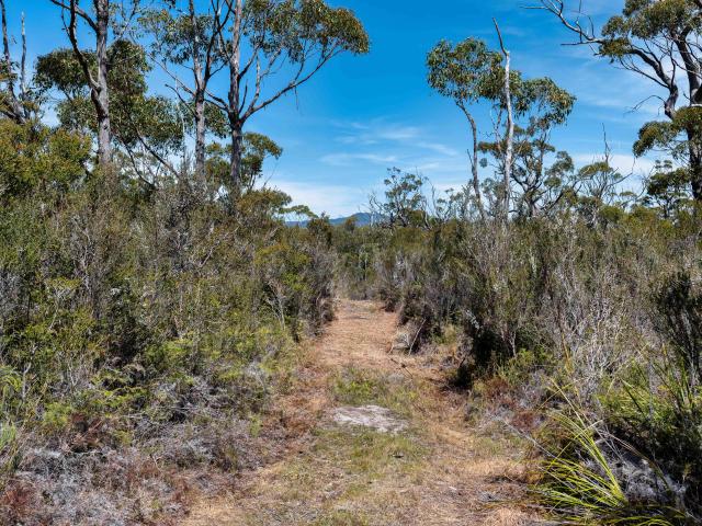 Property for sale in South Bruny, Tasmania