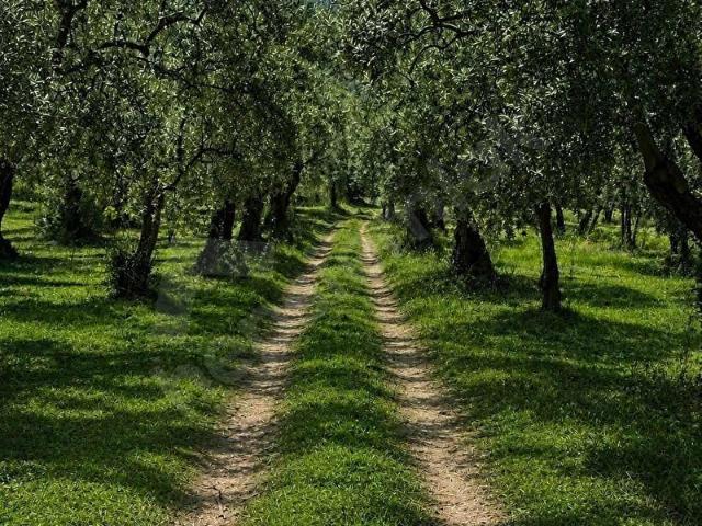 Orhangazi, Bursa içerisinde satılık mülk