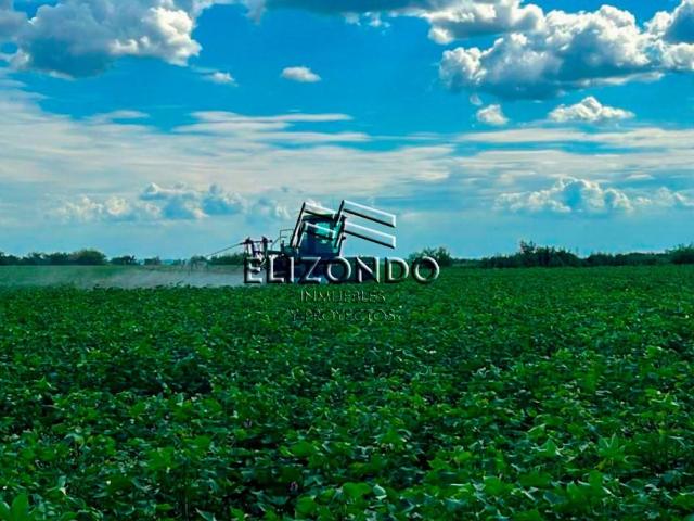 Departamento en venta en González, Tamaulipas