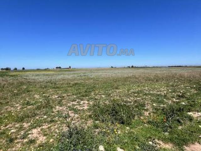 Propriété vente à El Ma, Gharb-Chrarda-Beni Hssen