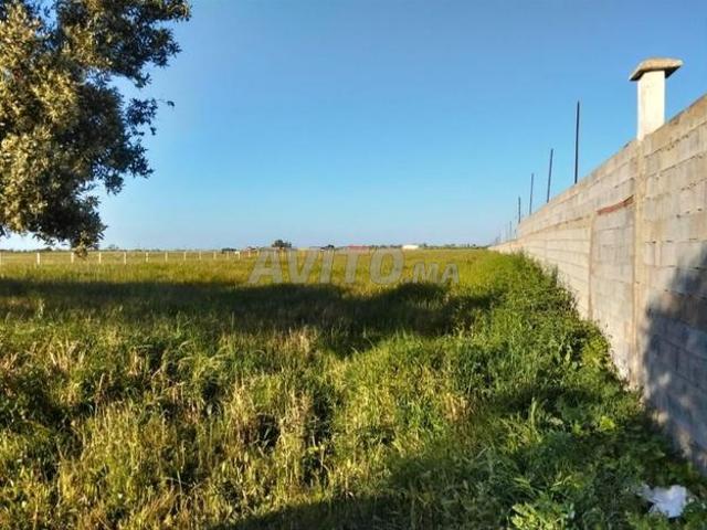 Propriété vente à Gharb-Chrarda-Beni Hssen