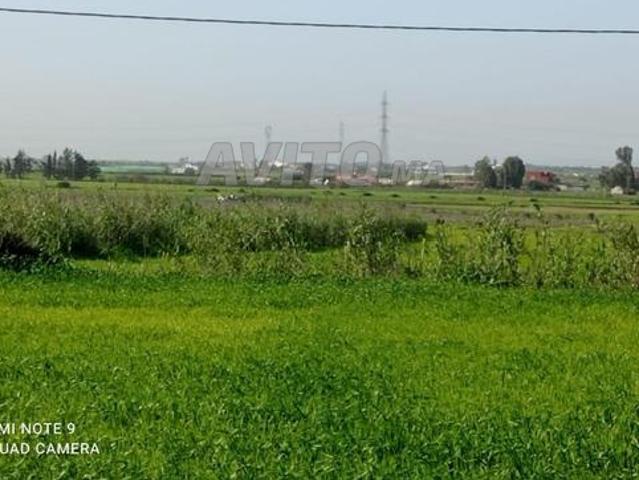 Propriété vente à Gharb-Chrarda-Beni Hssen