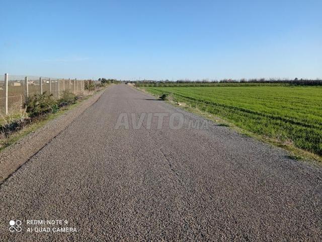 Propriété vente à Gharb-Chrarda-Beni Hssen