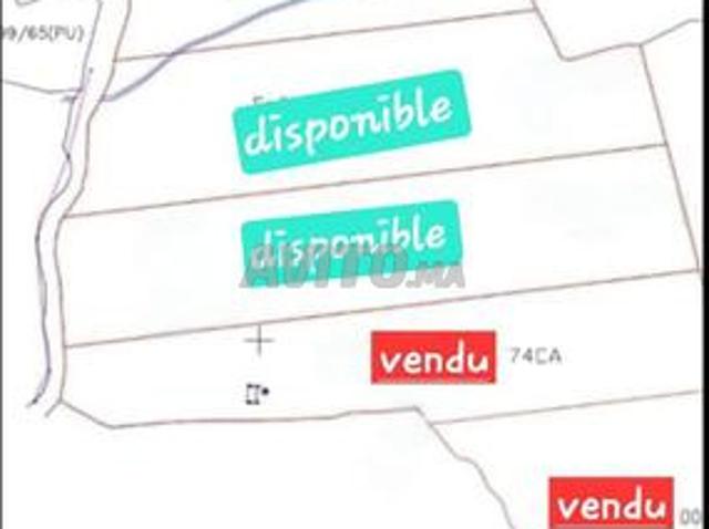 Propriété vente à Al Haouz, L'Oriental