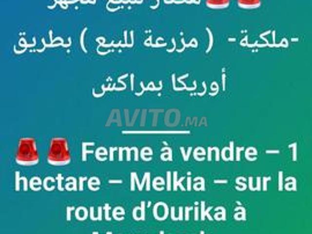 Propriété vente à Al Haouz, L'Oriental