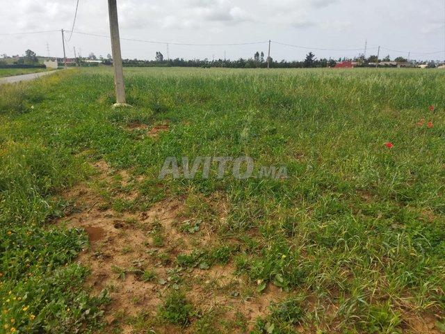 Propriété vente à Gharb-Chrarda-Beni Hssen