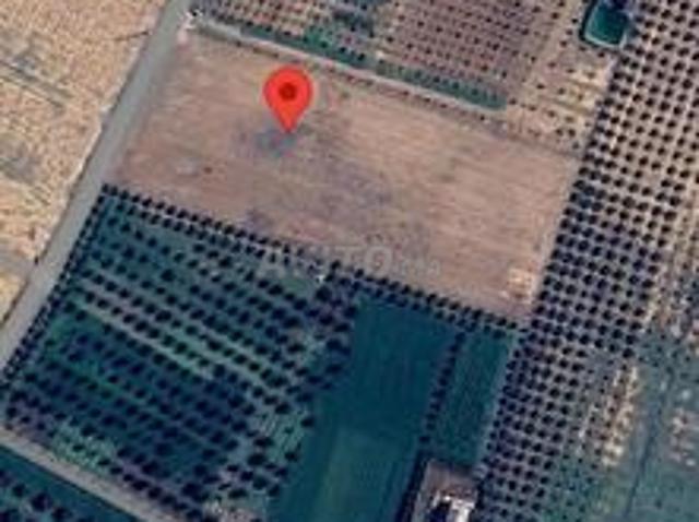 Propriété vente à Oujda وجدة, Préfecture d'Oujda-Angad عمالة وجدة - أنجاد