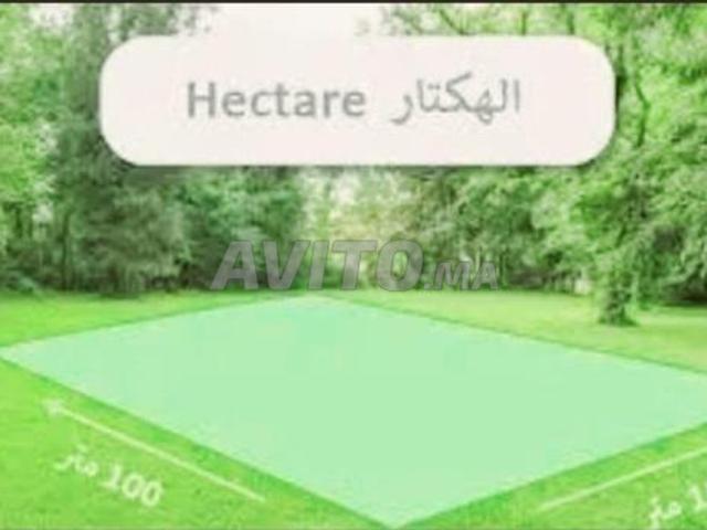 Propriété vente à Mohammedia, Gharb-Chrarda-Beni Hssen
