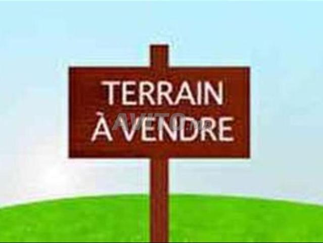 Propriété vente à L'Oriental