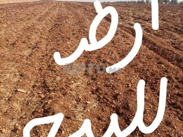 Propriété vente à Oulad Tayeb
