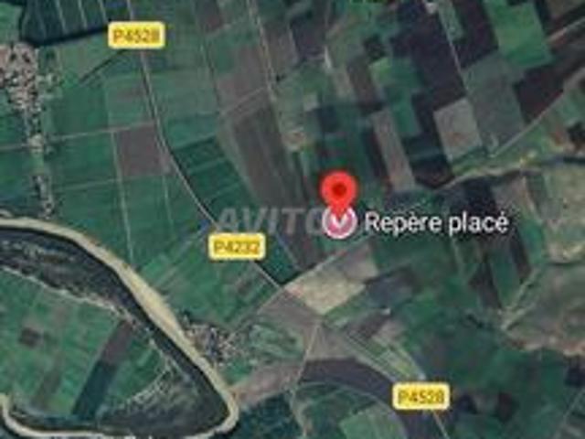 Maison vente à Mechra Bel Ksiri