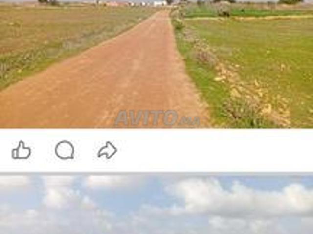 Propriété vente à El Ma, Gharb-Chrarda-Beni Hssen