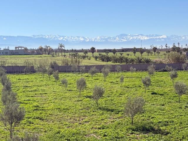 Ferme vente à Marrakech, L'Oriental