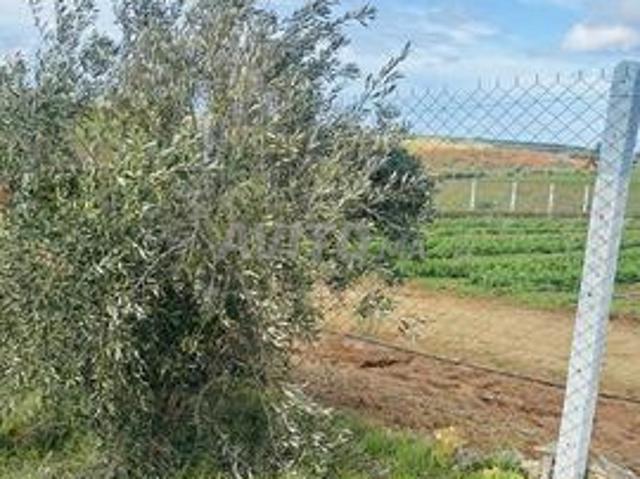 Propriété vente à Lyautey