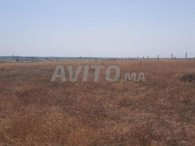 Propriété vente à Khémisset