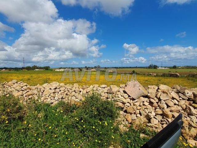 Propriété vente à El Ma, Gharb-Chrarda-Beni Hssen