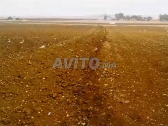 Propriété vente à Settat, Chaouia-Ouardigha