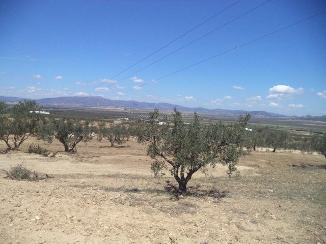 Terrain vente à Bir Mcherga