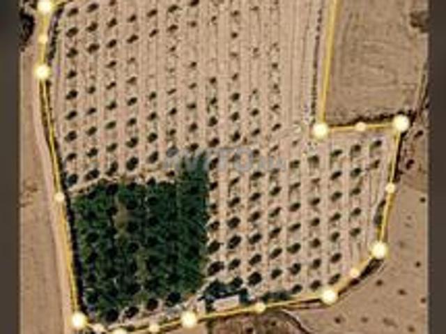 Propriété vente à Ouarzazate ورزازات, Province d'Ouarzazate ⵜⴰⵙⴳⴰ ⵏ ⵡⴰⵔⵣⴰⵣⴰⵜ إقليم ورززات